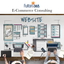 E-Commerce Consulting