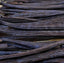 Ecuadorian Grade A Vanilla - Wholesale