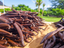 Madagascar Grade A Vanilla - Wholesale