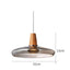 DecorBites™ Modern Nordic Glass Light Fixtures